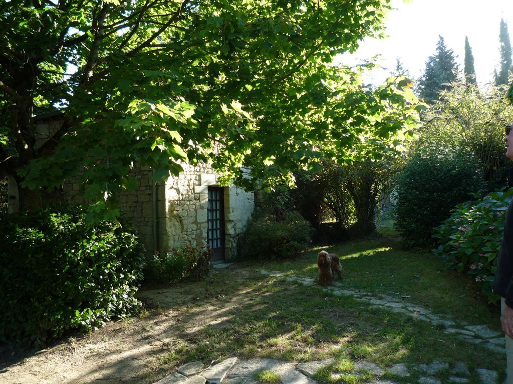 Le Logis Du Peu Girard Bed & Breakfast La Roche-Clermault Ngoại thất bức ảnh