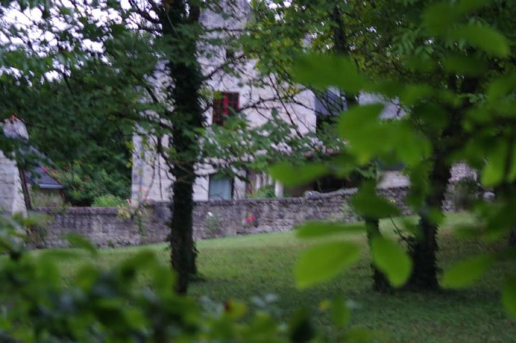 Le Logis Du Peu Girard Bed & Breakfast La Roche-Clermault Ngoại thất bức ảnh